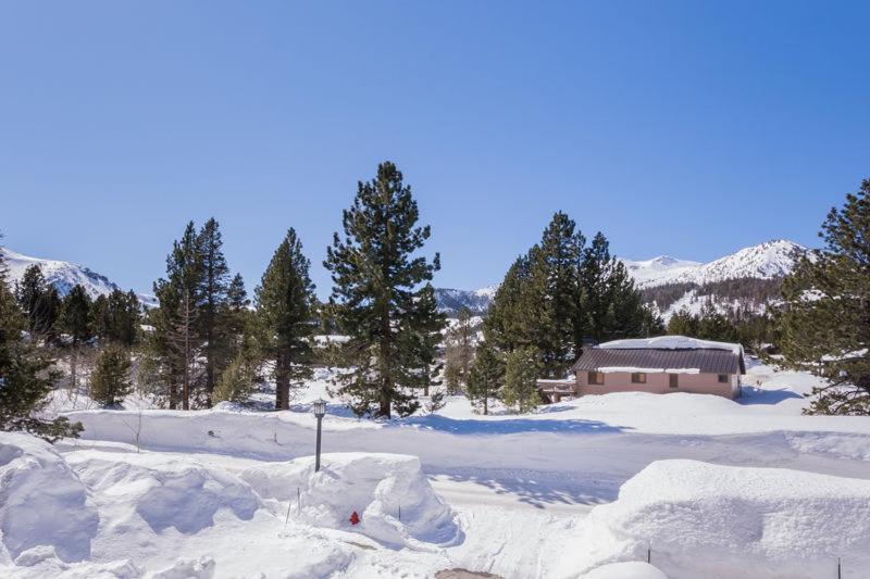 Mammoth Green # 105 Mammoth Lakes Chambre photo